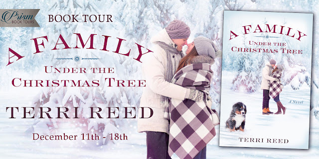 Announcing the Book Tour for A Family Under the Christmas Tree by Terri Reed!