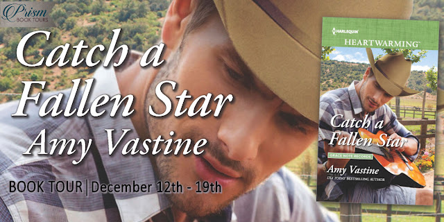 Announcing the Book Tour for Catch a Fallen Star by Amy Vastine!