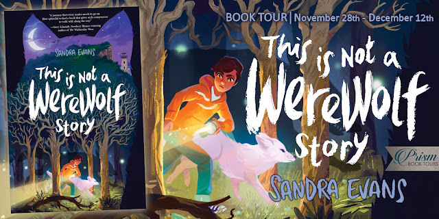 Announcing the Book Tour for This is Not a Werewolf Story by Sandra Evans!