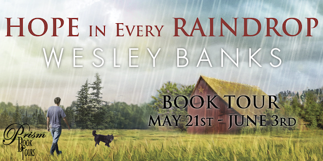 Announcing the Book Tour for HOPE IN EVERY RAINDROP by WESLEY BANKS!